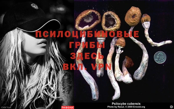 прущая мука Вязьма